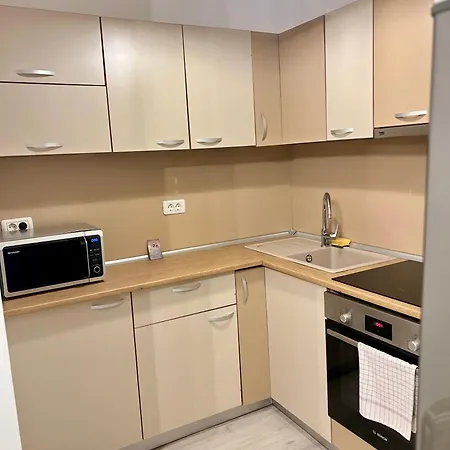 Catedrala Blue Apartman *