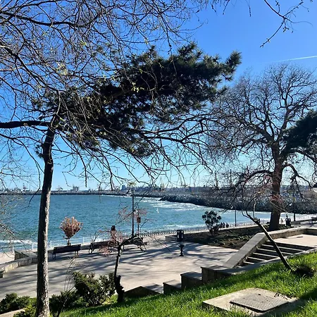 Catedrala Blue コンスタンツァ