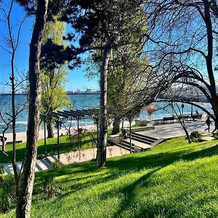 Catedrala Blue コンスタンツァ