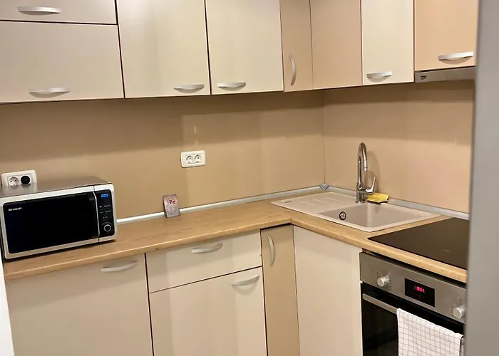 Catedrala Blue アパート *